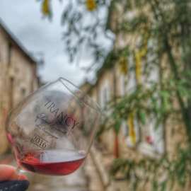 Irancy 2008 domaine Darles